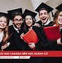 Các Ngành Học Của Canada Đang Cần Tuyển Dụng Ở Mỹ