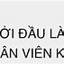 Công Ty Ceo Việt Nam